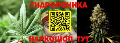 мдпв Рязань