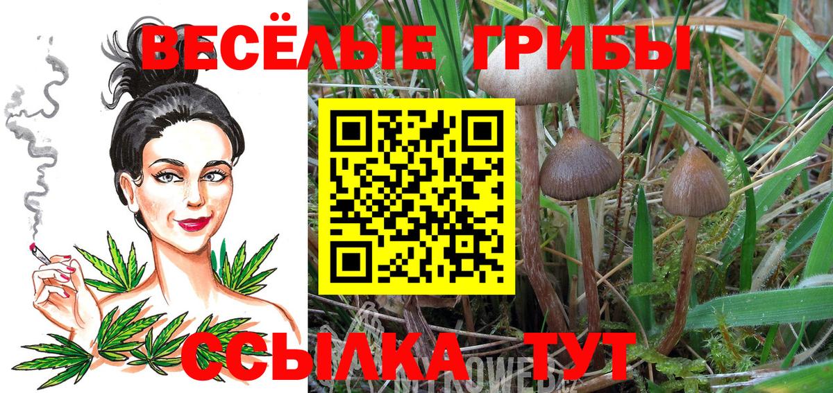 Псилоцибиновые грибы MAGIC MUSHROOMS Сальск